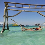 ���������� ������, ���� ������� �������, 51 ���, ������������ ��� ������, ����� � ���������, c�������� ���������