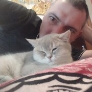 ���������� ��������, ���� ������� �������, 36 ���, ������������ ��� ������, ����� � ���������