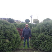  ,   SEVAK, 49 ,   ,   