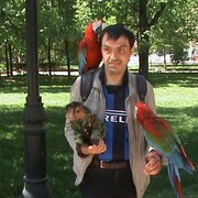  ,   , 49 ,   ,   , c 