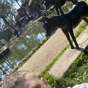 ���������� �����-���������, ���� ������� ������, 35 ���, ������������ ��� ������, ����� � ���������