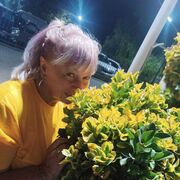 ���������� �����, ���� ������� ������, 58 ���, ������������ ��� ������, ����� � ���������, c�������� ���������