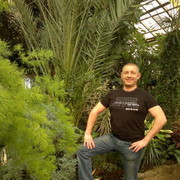 ���������� �����������-��-�����, ���� ������� ����, 52 ����, ������������ ��� ����� � ���������, c�������� ���������