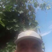  ,   , 61 ,   ,   , c , 