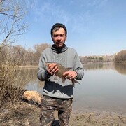  ,   , 37 ,   ,   , 