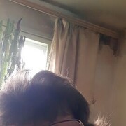  -,   , 62 ,   ,   