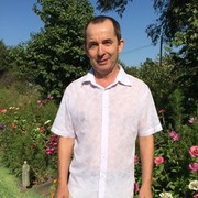  --,   , 65 ,   