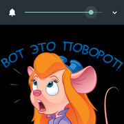  ,  qazwsx, 42
