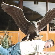  ,   , 60 ,   ,   , c 