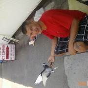 ���������� ��������, ���� ������� ��������, 55 ���, ������������ ��� ������