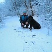  ,   Marijan, 41 ,   ,   , c 