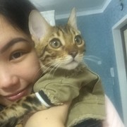  ,   , 26 ,  