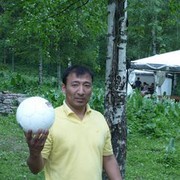  ,   Zhan, 42 ,  