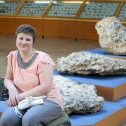 ���������� ���������, ���� ������� �������, 48 ���, ������������ ��� ����� � ���������, c�������� ���������