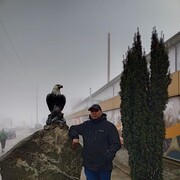  ,  , 36