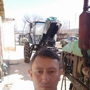  ,   , 44 ,  