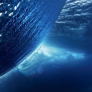 ���������� �������, ������� ��������, 40