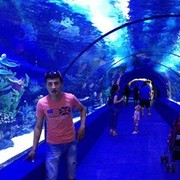  ,   Shurik, 36 ,   