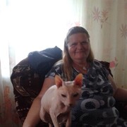  ,   , 44 ,  