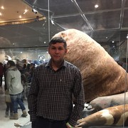 ���������� �����������-��-�����, ���� ������� ����, 41 ���, ������������ ��� ������, ���������