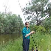 ���������� �����������, ���� ������� �������, 53 ����, ������������ 