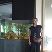  ,   , 48 ,   ,   