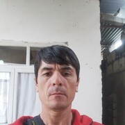  -,   , 44 ,   ,   
