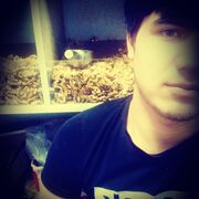  -,   , 24 ,   c 