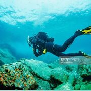 ���������� ������, ���� ������� Moha, 33 ����, ������������ ��� ������, ����� � ���������