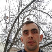 ���������� �����, ���� ������� ������, 43 ����, ������������ 