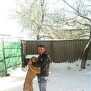 ���������� ���������, ���� ������� �����, 44 ����, ������������ ��� ������, ����� � ���������, c�������� ���������