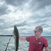 ���������� ����, ���� ������� ������, 48 ���, ������������ ��� ����� � ���������, c�������� ���������