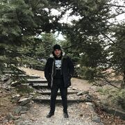 ���������� �����������, ���� ������� ���������, 33 ����, ������������ ��� ������, ����� � ���������