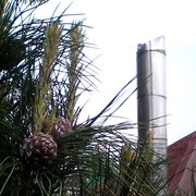 ���������� �����������, ���� ������� �����, 63 ����, ������������ ��� ������, ����� � ���������, c�������� ���������