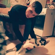 ���������� ������������, ���� ������� ���������, 29 ���, ������������ ��� ������, ���������