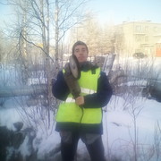 ���������� ��������, ���� ������� �������, 40 ���, ������������ ��� ������, ����� � ���������, c�������� ���������