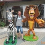 ���������� ������ �����, ���� ������� �������, 43 ����, ������������ ��� ������, ����� � ���������, c�������� ���������