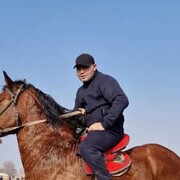 ���������� ������������, ���� ������� ����, 43 ����, ������������ ��� ������, ����� � ���������