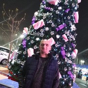  ,   , 41 ,   