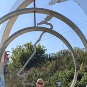 ���������� ����, ������� �������, 50