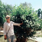 ���������� �����������, ���� ������� �����, 41 ���, ������������ ��� ������, ����� � ���������, c�������� ���������