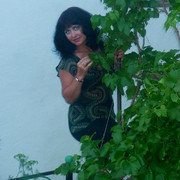  ,   , 55 ,   ,   , c 