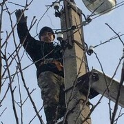 ���������� �����������, ���� ������� ����, 42 ����, ������������ ��� ������, ����� � ���������, c�������� ���������, ���������