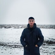 ���������� ��������, ���� ����� Stray, 19 ���, ������������ ��� ������, ����� � ���������