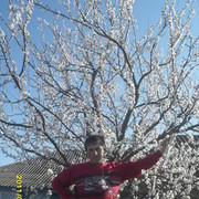  ,   Radu, 35 ,   