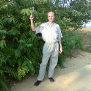 ���������� ������-��-����, ���� ������� ����, 41 ���, ������������ ��� ������, ����� � ���������