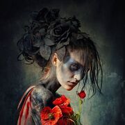  ,   , 28 ,   ,   