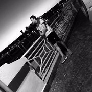 ���������� ������ ����� ������, ������� �������, 26