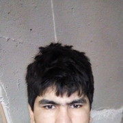  ,   Dimo, 28 ,   ,   , c 