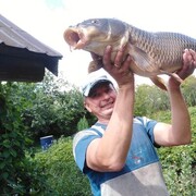 ���������� ������ ��������, ���� ������� ������, 50 ���, ������������ ��� ����� � ���������, c�������� ���������